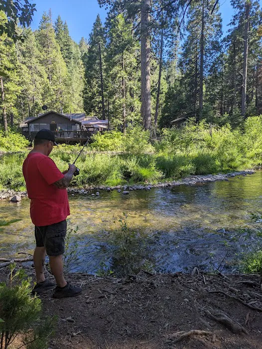 Butte Meadows Campground Picture 9