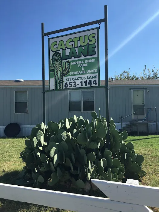 Cactus Lane RV & Mobile Home Park Picture 2