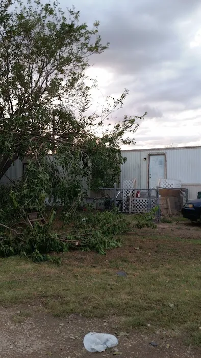 Cactus Lane RV & Mobile Home Park Picture 8