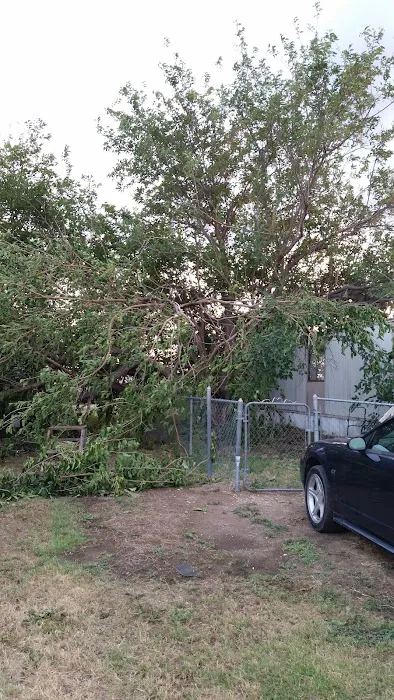 Cactus Lane RV & Mobile Home Park Picture 5