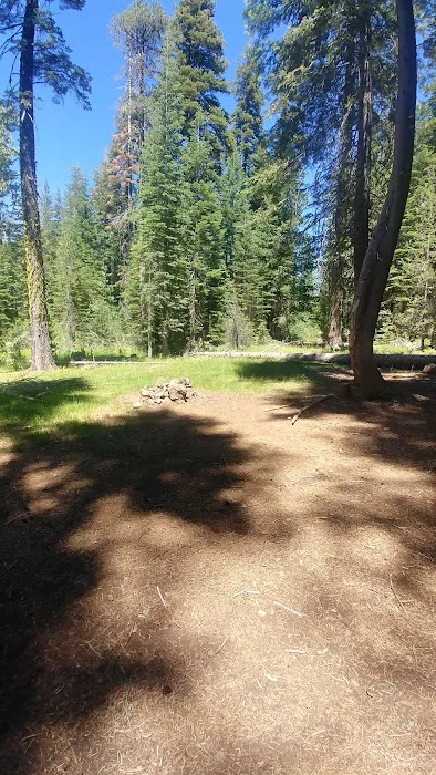 Snag Camp 1 Picture 1