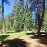 Snag Camp 1