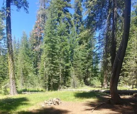 Snag Camp 1