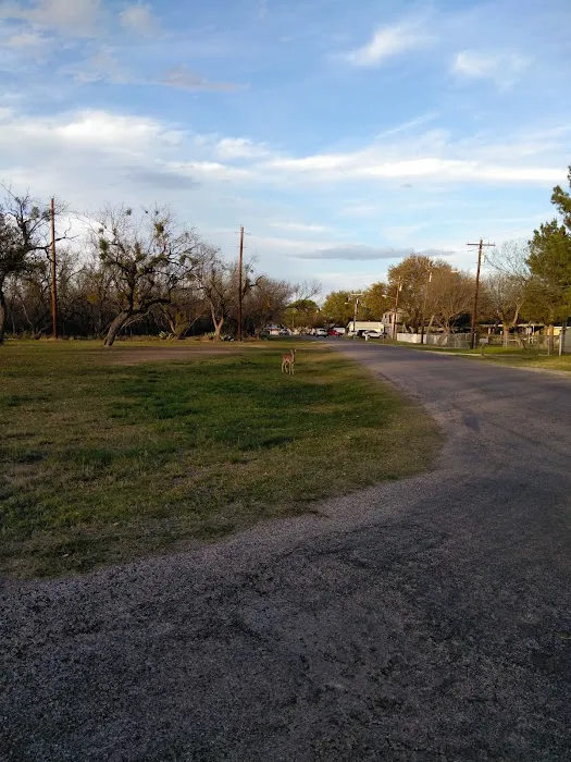 Brown's Trailer Park Picture 4