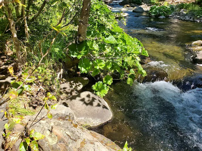 Cherry Hill Campground Picture 6