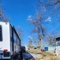 San Angelo's Orchard ico