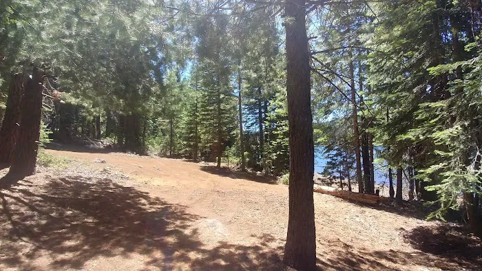 Snag Camp 2 Picture 2