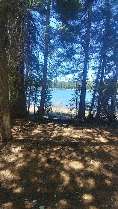 Snag Camp 2 Picture 1