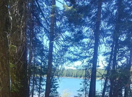 Snag Camp 2
