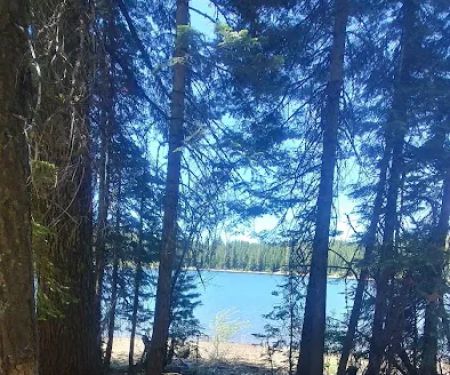 Snag Camp 2