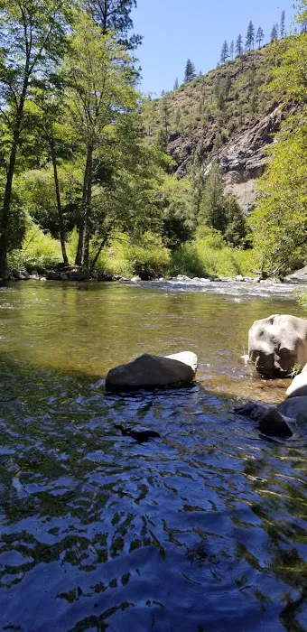 Gansner Bar Campground Picture 2