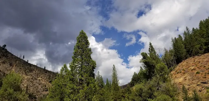 Gansner Bar Campground Picture 4