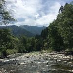 Gansner Bar Campground