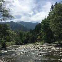 Gansner Bar Campground ico