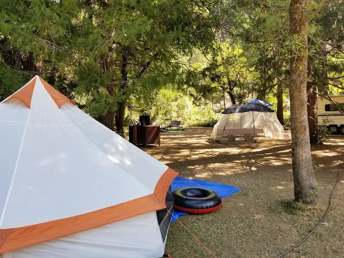 Gansner Bar Campground Picture 3