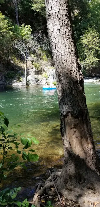Gansner Bar Campground Picture 9