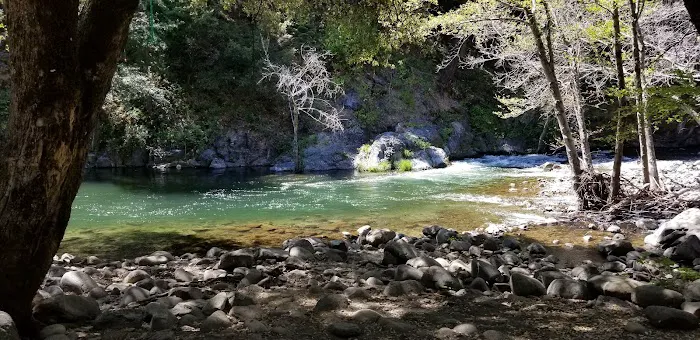 Gansner Bar Campground Picture 6