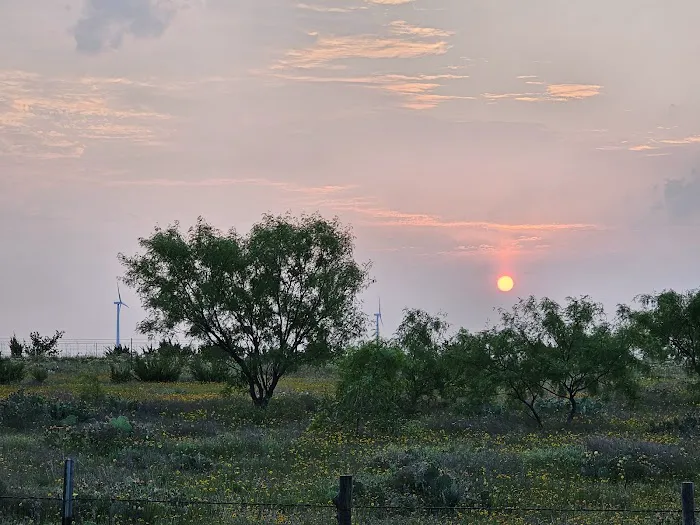 Lone Star RV Park Picture 2