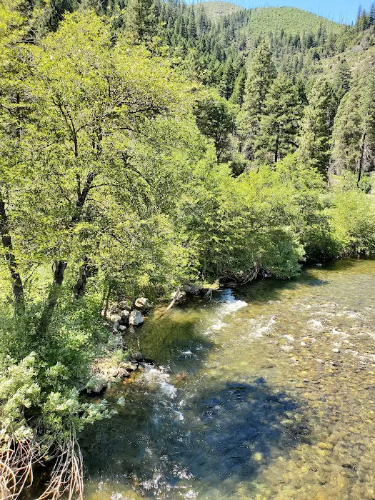 North Fork Campground Picture 1