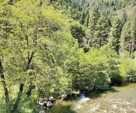 North Fork Campground