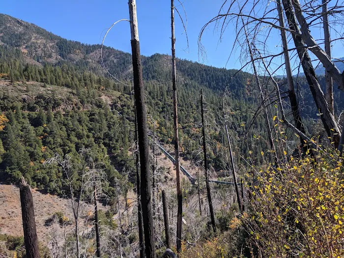 North Fork Campground Picture 4