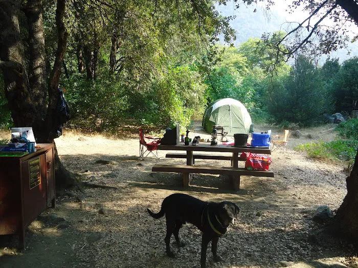 Queen Lily Campground Picture 4