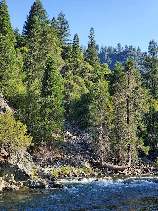 Queen Lily Campground Picture 7