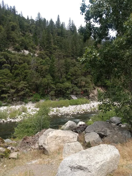 Queen Lily Campground Picture 9