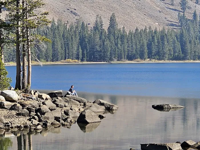 White Rock Lake Campground Picture 3