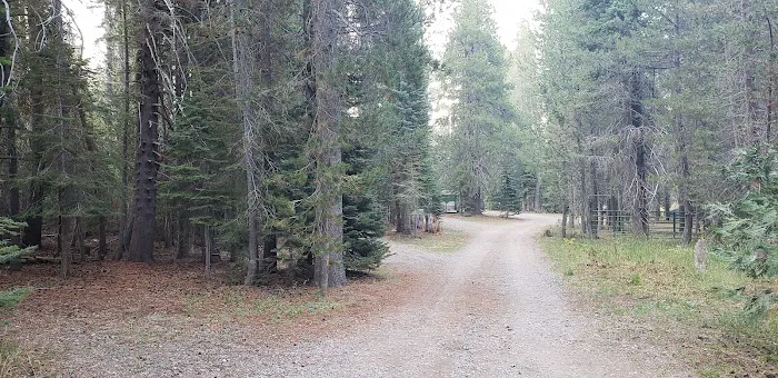 Little Laiser Meadow Horse Campground Picture 5