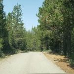 Little Laiser Meadow Horse Campground