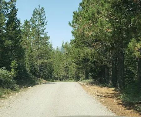 Little Laiser Meadow Horse Campground