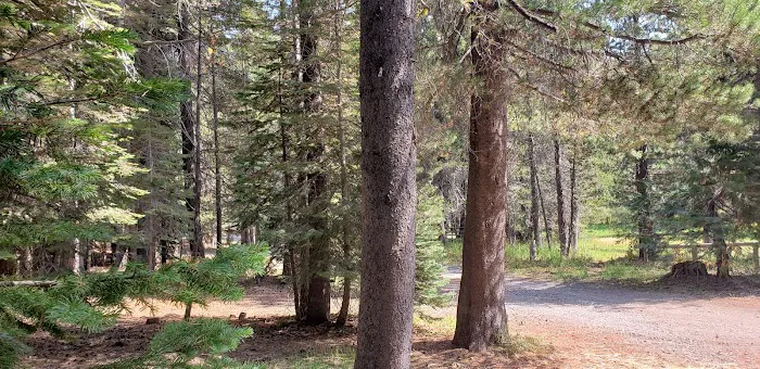 Little Laiser Meadow Horse Campground Picture 6