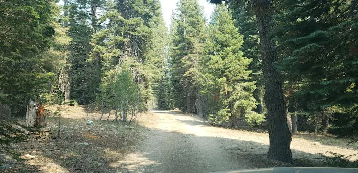 Little Laiser Meadow Horse Campground Picture 8