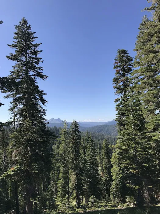 Fir Top Campground Picture 1