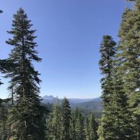 Fir Top Campground ico