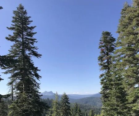 Fir Top Campground