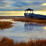 Holly Beach RV Park