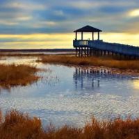Holly Beach RV Park ico