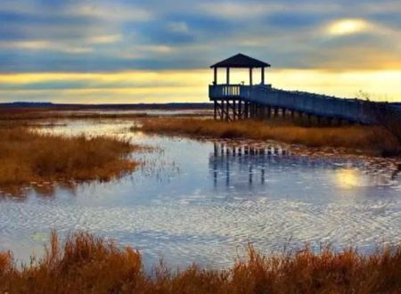 Holly Beach RV Park