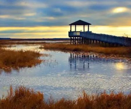 Holly Beach RV Park