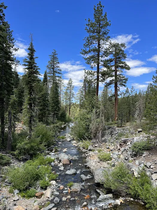 East Meadow Campground Picture 5