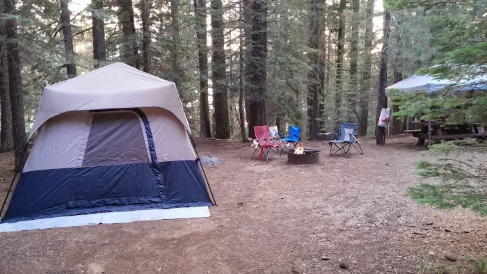 East Meadow Campground Picture 2