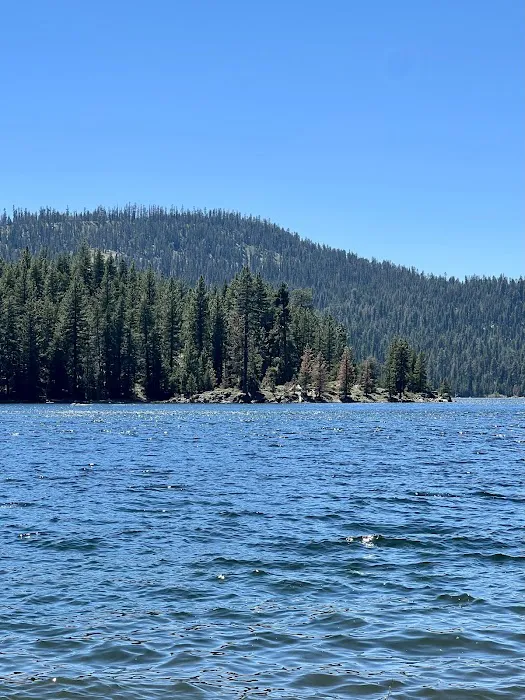 East Meadow Campground Picture 3