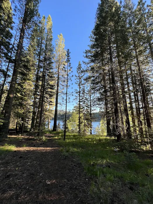 East Meadow Campground Picture 6