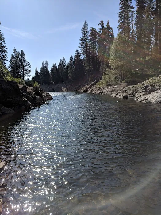 East Meadow Campground Picture 8