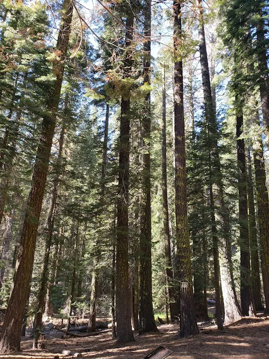 Pass Creek Campground Picture 8