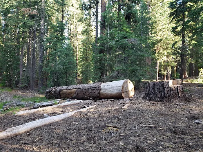 ASPEN GROUP (TAHOE) (recgovnpsdata) Picture 1