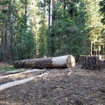 ASPEN GROUP (TAHOE) (recgovnpsdata)