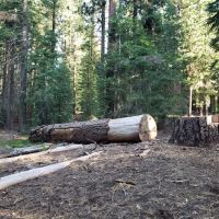 ASPEN GROUP (TAHOE) (recgovnpsdata) ico